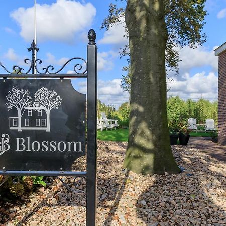 B&B Blossom 리쎄 외부 사진